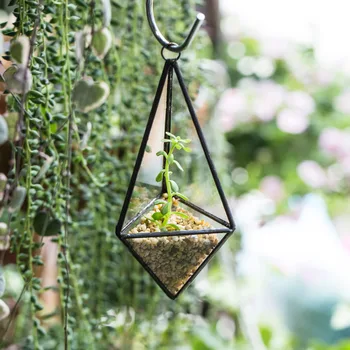 

Hanging Small Geometric Pyramid Glass Container DIY Modern Succulent Flower Pots Planter Air Plant Holder Freestanding Terrarium