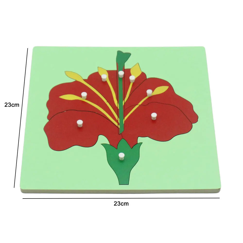Деревянный Монтессори игрушки Детские цветочных растений головоломки с изображением животных деревянная коробка для монет обучения