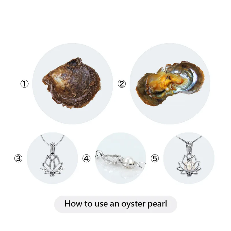 CLUCI 4 шт 8 5 мм Oysters с жемчугом Akoya круглые одиночные Упакованные оригинальные