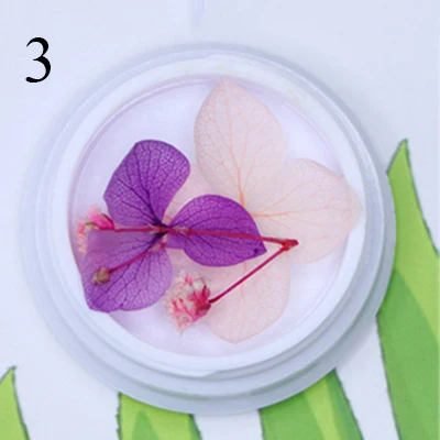 Natural Nail Dried Flowers Decoration Mix Dry Flower And Leaf Decor 3D Nail Art Designs Gypsophila Manicure Accessories - Цвет: 3