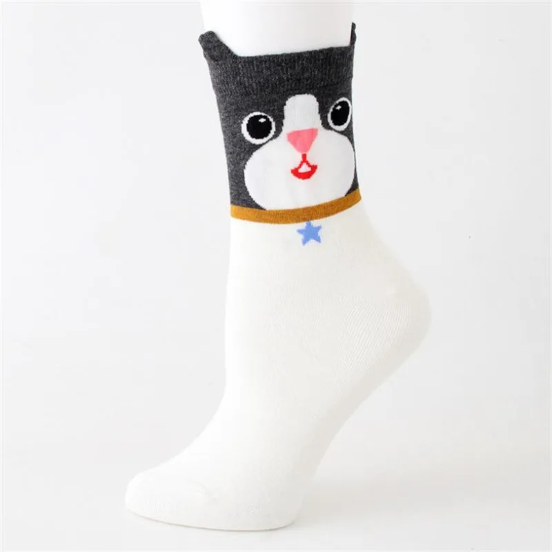 QQ20181216175804