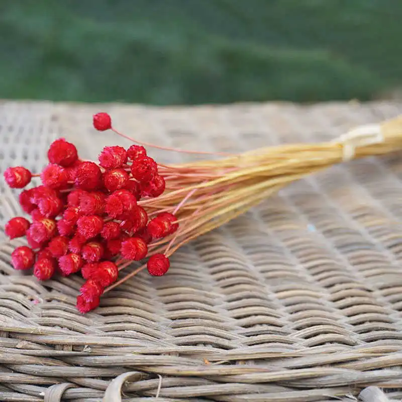 50pcs Eternal Flower Dried Flowers DIY Artificial Flowers for Family Living Room Garden Wedding Decoration Photo Props 50pcs Eternal Flower Dried Flowers DIY Artificial Flowers for Family Living Room Garden Wedding Decoration Photo Props