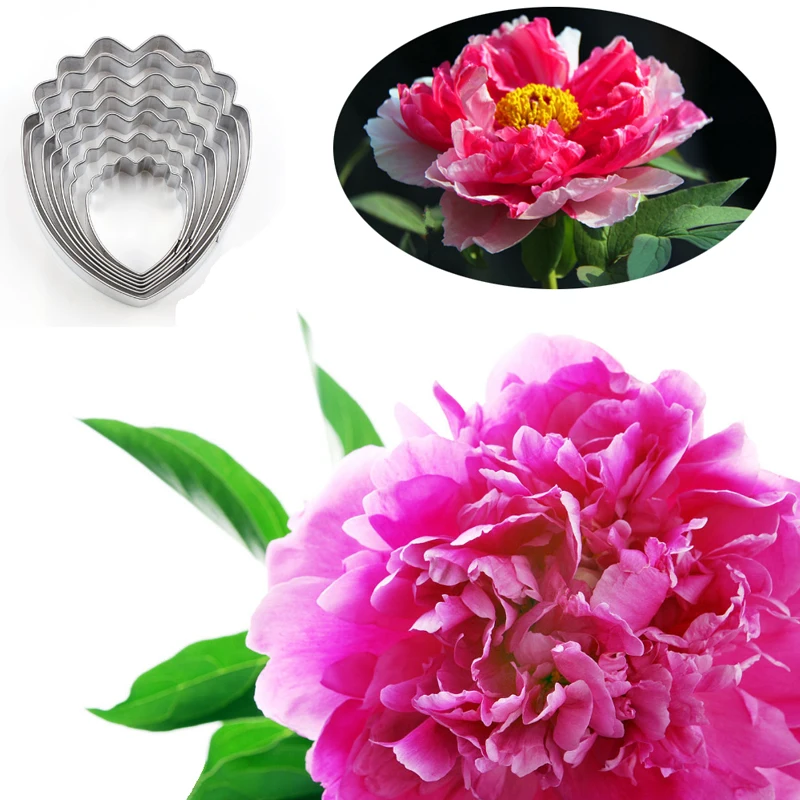 

Peony Flower 7Pcs Stainless Stell Cookie Cutter Pastry & Biscuit Baking Cutter Cake Decorating Tools Cupcake Mold Fondant Tools