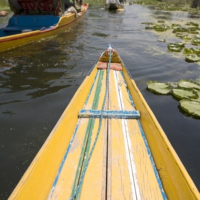 Colorful Boats On Dal Lake; Dal Lake  Srinagar  Kashmir  India Poster Print (24 x 38)