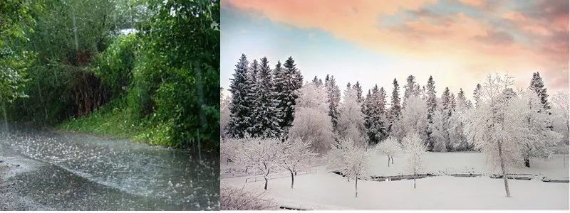 Hunting trail camera gsm mms (3)