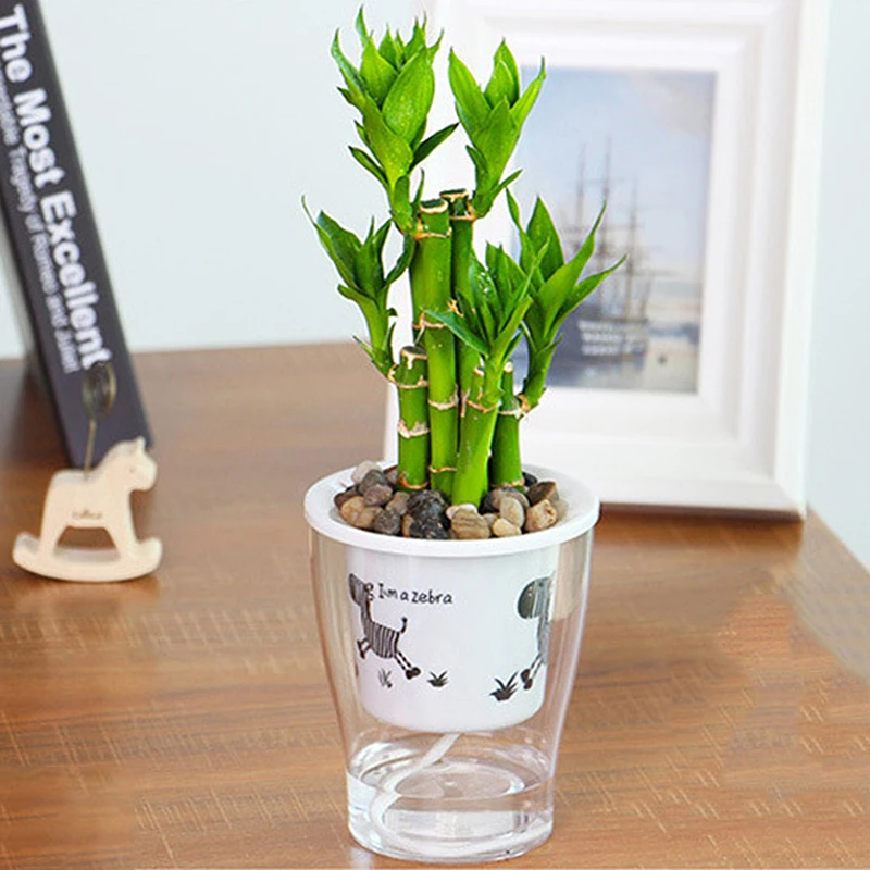 

1pcs Auto Irrigate Flower Pot Vase Automatic Watering Planter Lazy Planting Round Plastic Pot Animal Zebra Pattern S M L