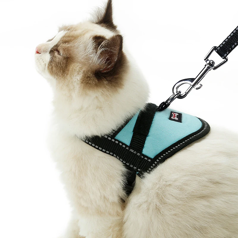 Harnesses-12-05