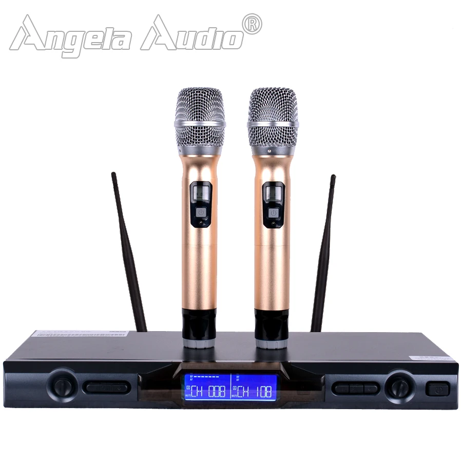 Professional UHF Wireless Microphone Karaoke System Dual