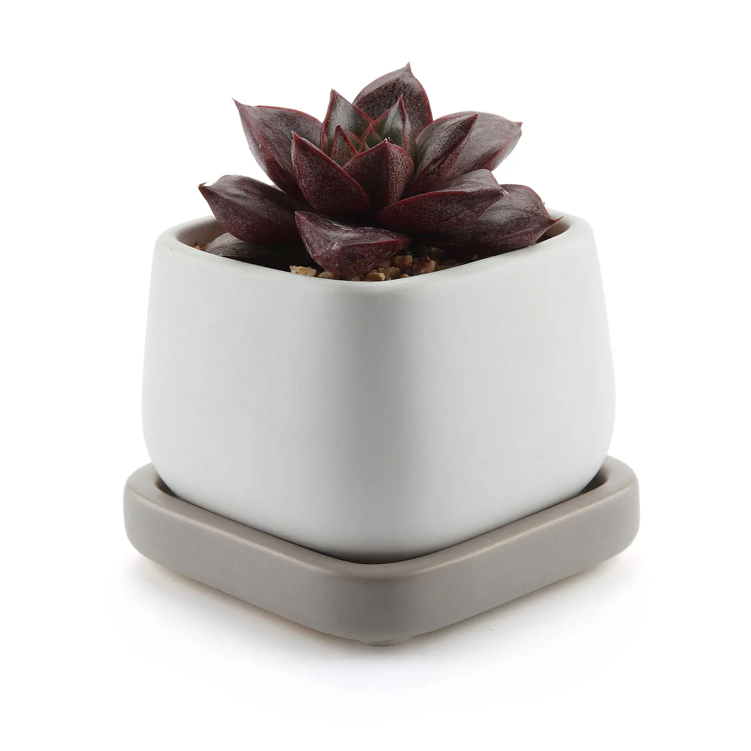 

T4U 2.75 Inch Ceramic Modern Mini Square Succulent Plant Pot / Cactus Plant Pot Container with Grey Tray - Matte White