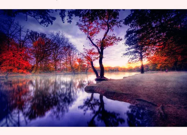5D DIY Diamond Painting Sunset Landscape Cross Stitch Forest Tree Needlework Home Decorative Full Square Embroidery | Дом и сад
