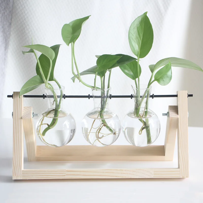 Flower Pots Glass Vase Terrarium Tabletop Hydroponics Plants Bonsai Wooden Tray 