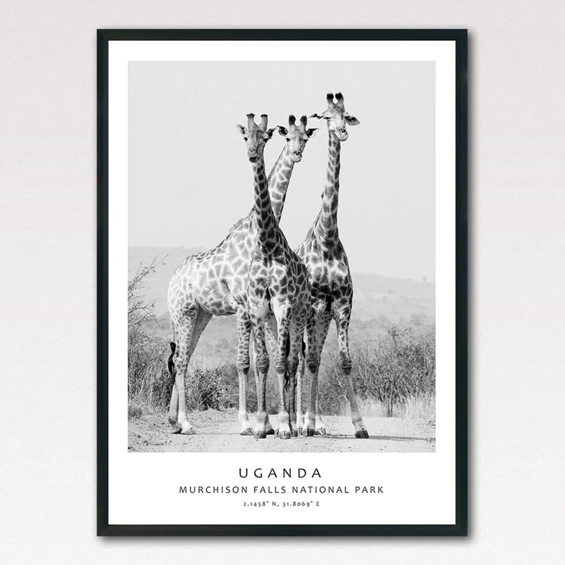 giraffe canvas painting home decor