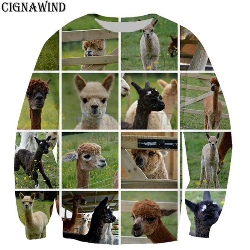 New-Fashion-Alpaca-Collage-3D-Print-Sweatshirts-Men-Women-Tracksuits-Hip-hop-Streetwear-Funny-Animal-mens.jpg_640x640