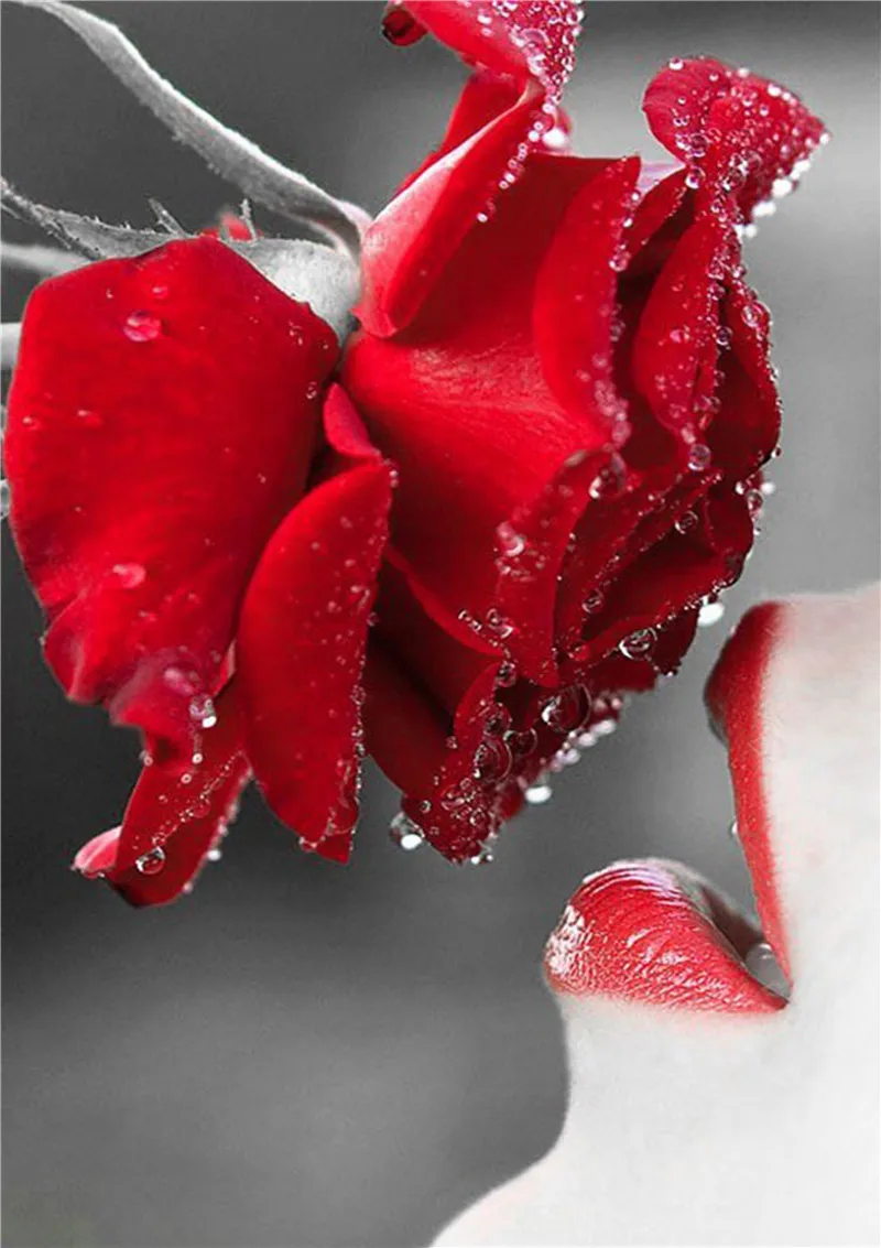 

DIY Diamond Embroidery 5D Red Lip Kiss Rose Flower Diamond Painting Cross Stitch Resin Diamond Needlework Home Decal Gift