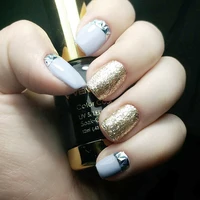 Venalisa 12ml Platinum Gel Nail Polish Super Shiny Effect Nail Gel Perfect Soak off UV&LED Nail Color Foil Chrome Gel Polish 2