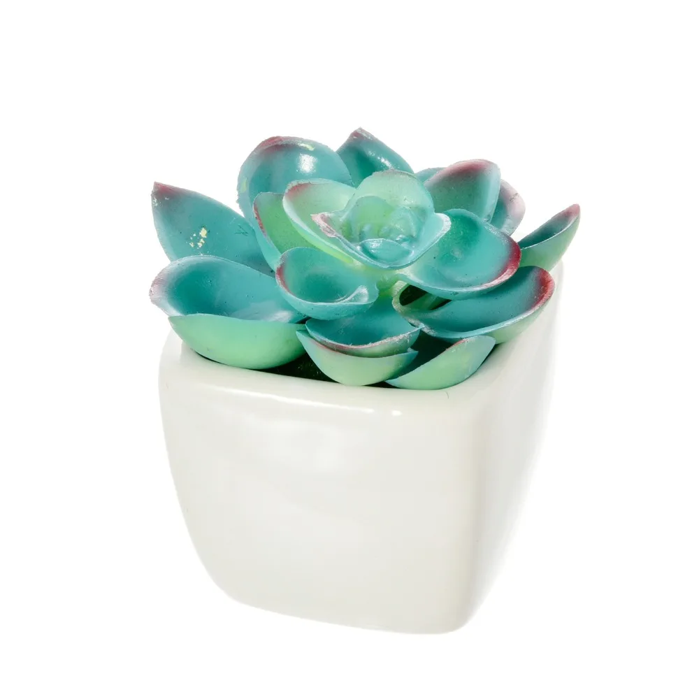 Succulent Plant with Ceramics vase bonsai set mini fake plant Artificial flowers for Garden farmhouse art decoration Succulent Plant with Ceramics vase bonsai set mini fake plant Artificial flowers for Garden farmhouse art decoration