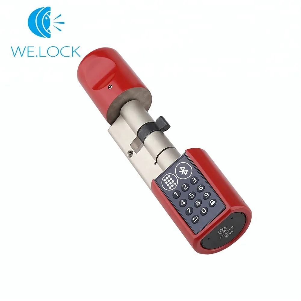 L6PB Smart Key Lock Cylinder Home Keyless Electronic Lock Cylinder Unlock With Code And Bluetooth Mobile App