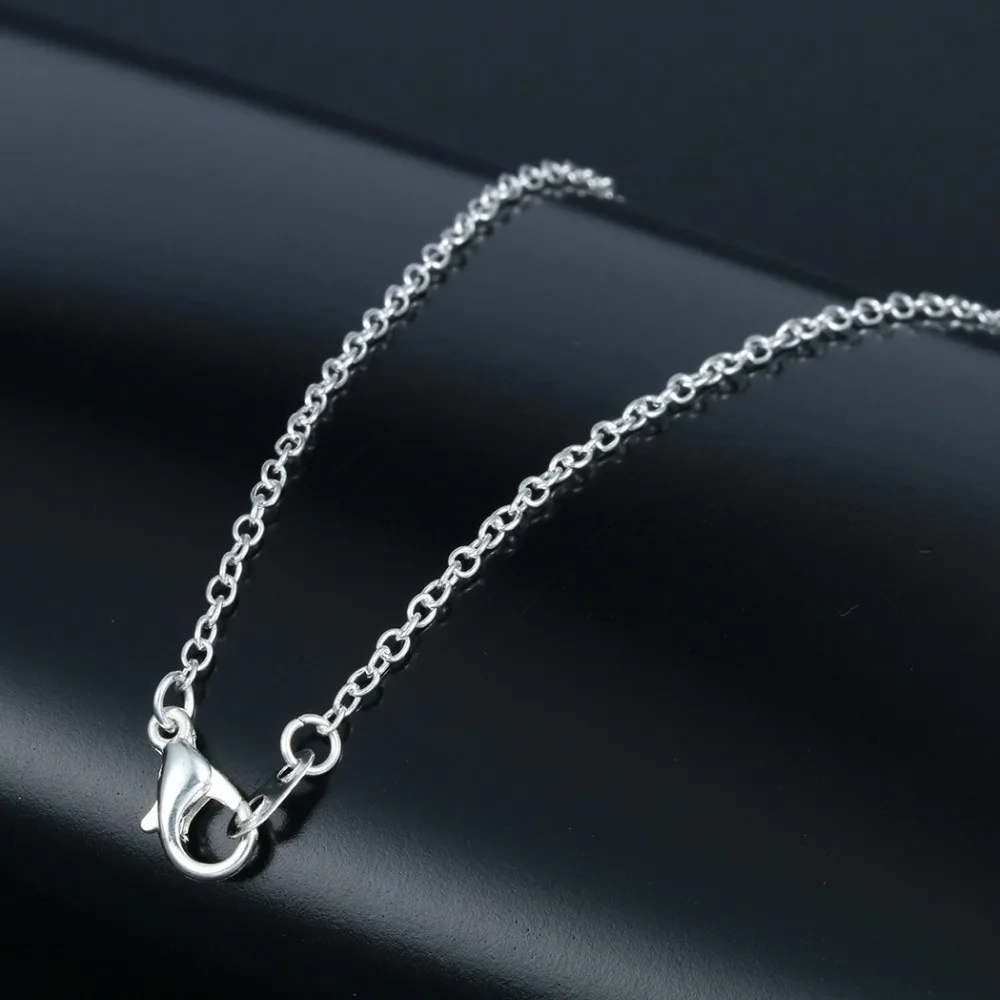 4042807653_143671530