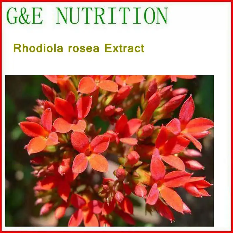 

100% Natural& High quality Rhodiola rosea/ Rhodiola sachalinensis Extract with free shipping, skin care