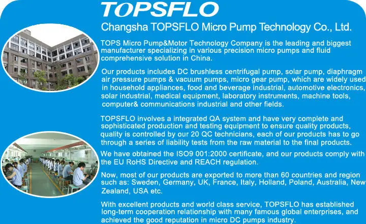 Новое поступление Topsflo TM30A-B12-P9504/V6004, работающего на постоянном токе 12 В в диафрагмы для медицинского использования давления/вакуумный насос