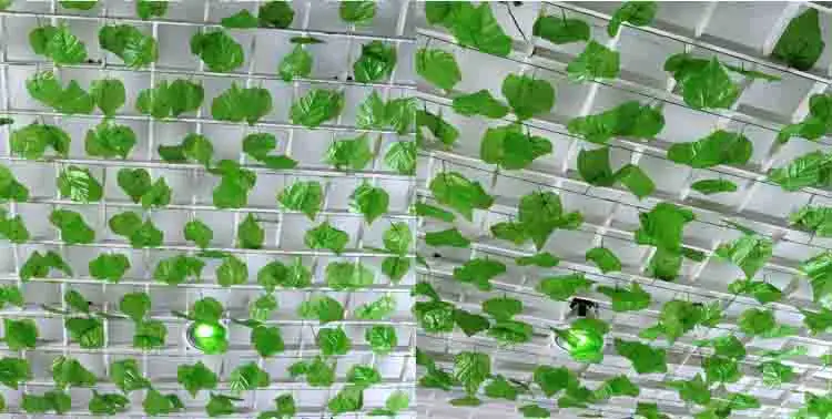 10362687261_1221198793