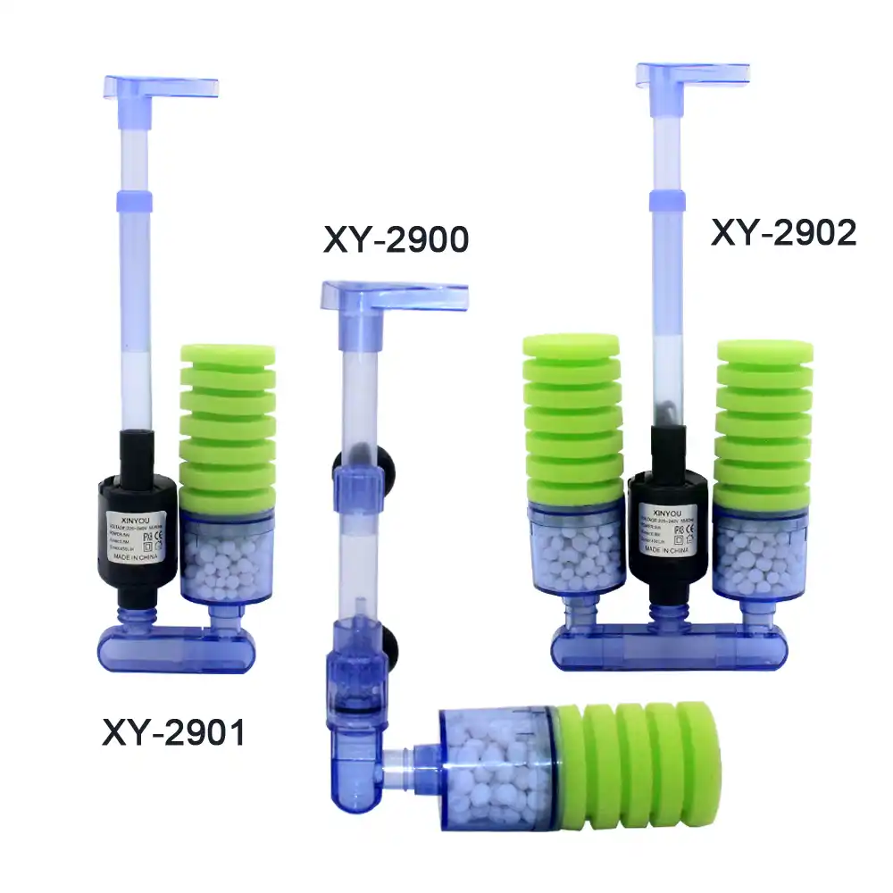 chihuahua and shih tzu mix full grown