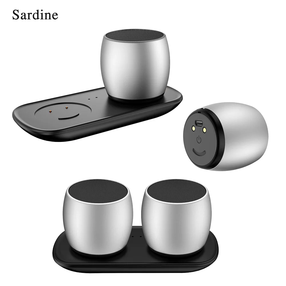 Sardine TWS металлические bluetooth колонки портативная мини колонка 3D стерео компьютер