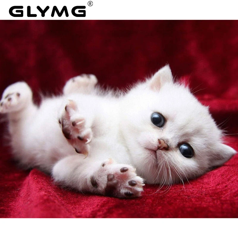 

GLymg Craft Lovely Cat Needlework Handicrafts Diamond Painting White Cat Diamond Embroidery Square Drill Mosaic Animal Picture