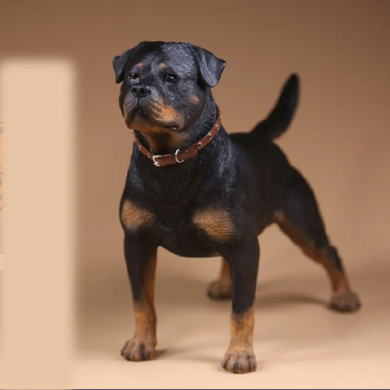22年最新入荷 Rottweiler 犬 動物模型 コレクション 置物c 人気定番の Css Edu Om