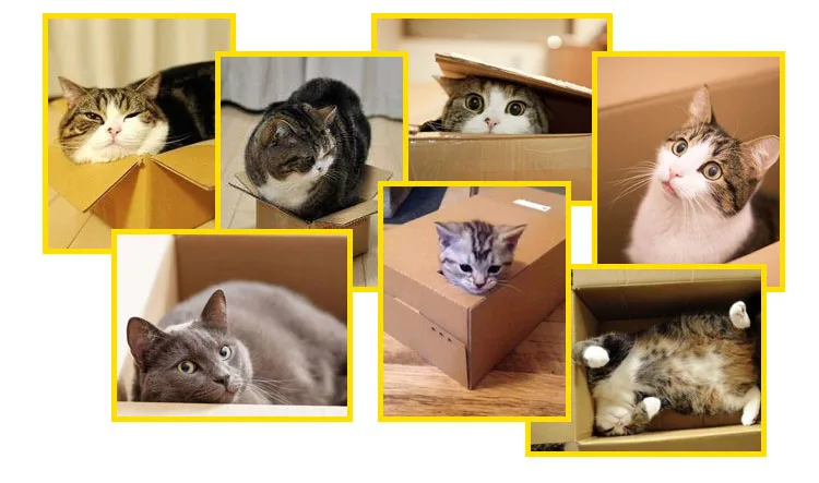 Новая бумага для кошки дом прекрасный принт кровать для кошек щенок складной питомник для домашних животных cama para gato товары для домашних животных