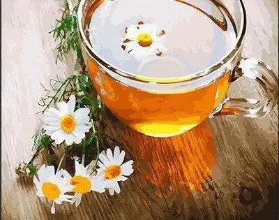 Chamomile tea still life painting 40x50cm Framed DIY oil painting by numbers on canvas hand painted picture home decor