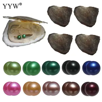 

10pcs/lot Vacuum-Packed Twins Wish Pearl Oyster 7-8mm Potato Akoya Pearls In Oyster Mixed Colors DIY Birthday Valentine's Gifts