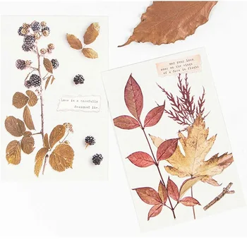 

30pcsAutumn is harvest time style card multi-use as Scrapbooking party invitation DIY Decoration gift card message card postcard