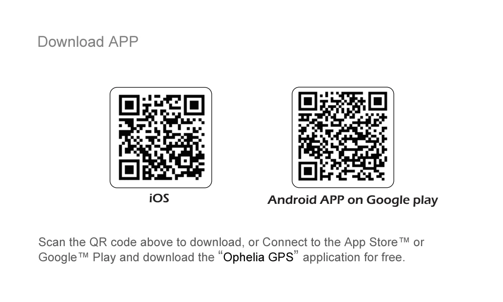 APP