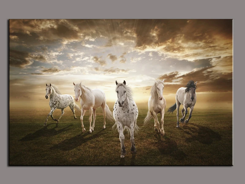 1 Piece Picture Running White Horse Modern Home Wall Decor Painting Canvas  Art Hd Print Painting For Living Room - Painting & Calligraphy - AliExpress