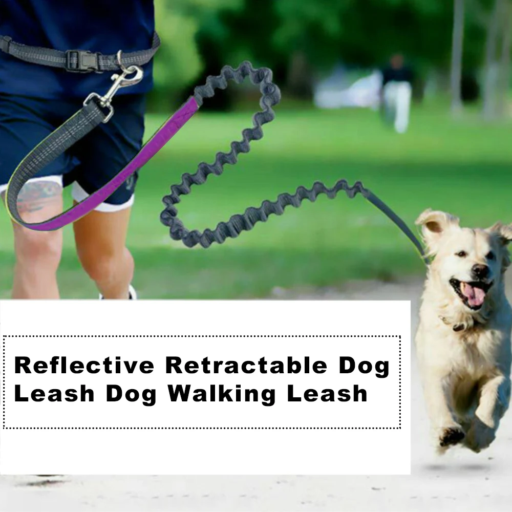 

Fashion Pet Dog Harness Leash Set For Small Medium Dogs Pet Walk Out Lead Harness Dog Training Leash Accessories