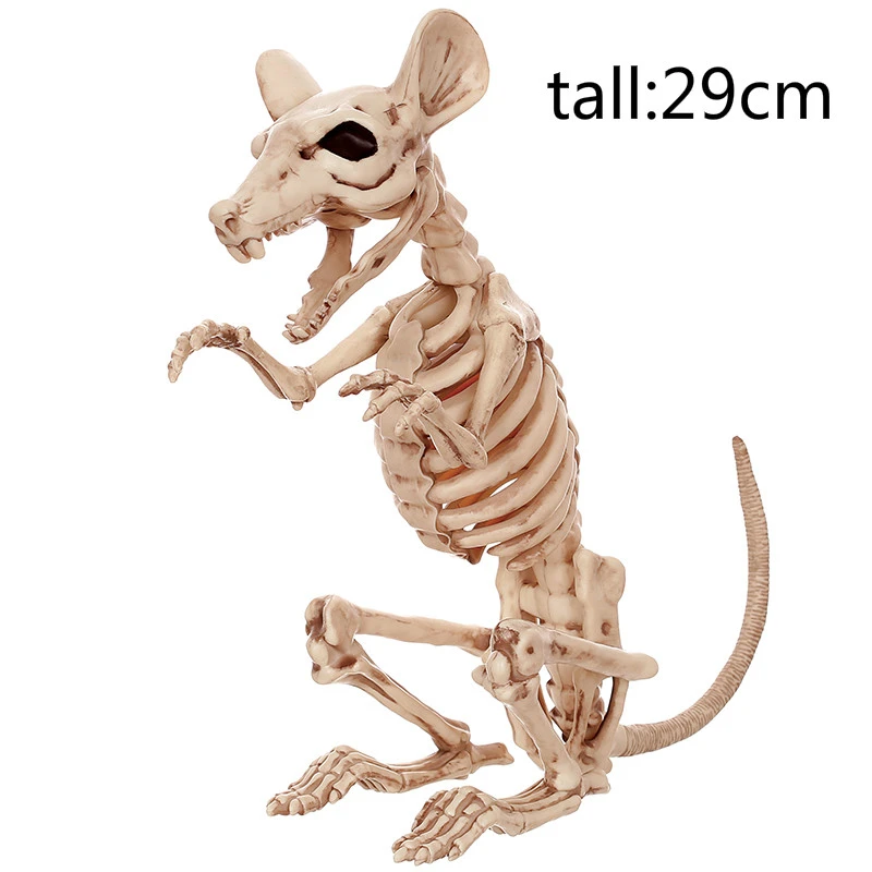 Legende Broer Ongehoorzaamheid Hoge Qualtity Skelet Rat Muis 100% Plastic Dier Skeleton Bones Voor Horror  Halloween Decoratie Gratis Verzending|bones plastic|bones animalbones  halloween - AliExpress