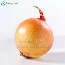 New Hot Delicious 100pcs Giant Onion Seeds Organic Vegetables For Interest DIY
