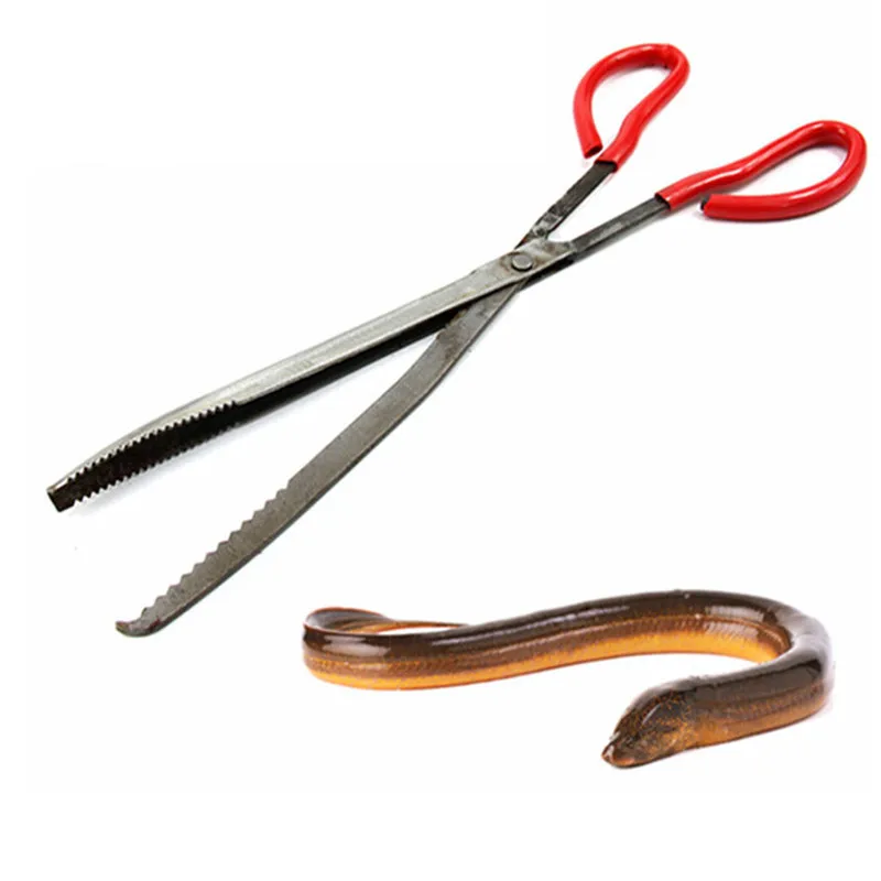 

pincers loach eel crab trap fish traps carbon clip pliers Rat pliers Loach clamps snake cricket clamp razor clamp Chest lobster