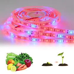 Светодиодный свет для выращивания полного спектра 5 м DC 12 В Светодиодный свет 5050 SMD 300 светодиодный s гидропонный цветок фитометр
