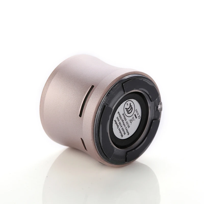 speaker (6)