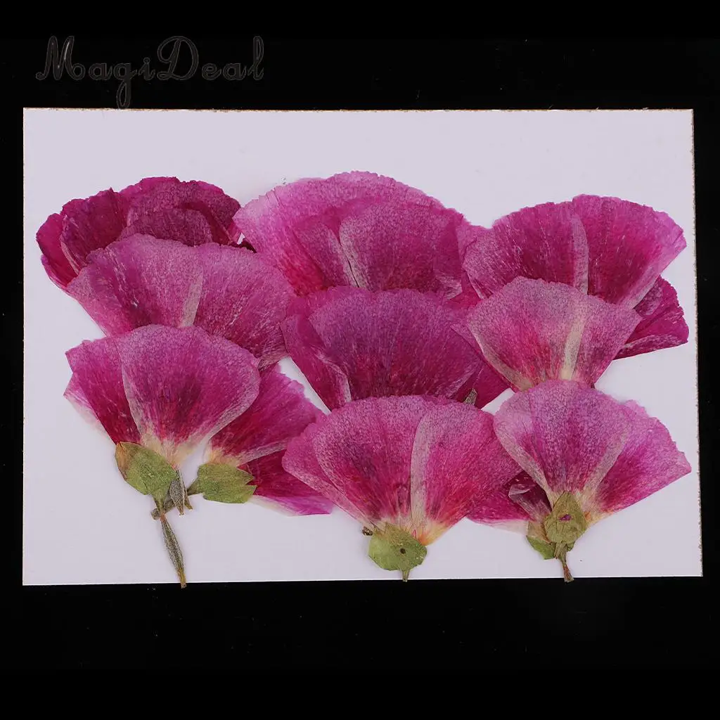 12pcs Beautiful Godetia Real Pressed Natural Dried Flowers for Art Craft Scrapbooking Card Making Resin Jewelry Making Craft DIY