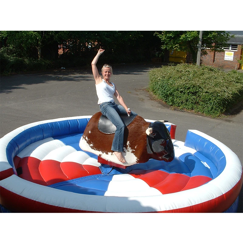 mechanical bull pool toy
