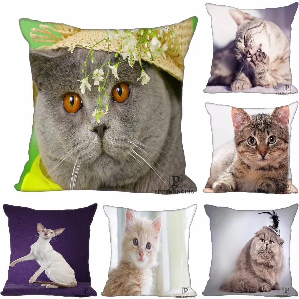 Custom Decorative Pillowcase Cats Kitten Rain Square Zippered Pillow