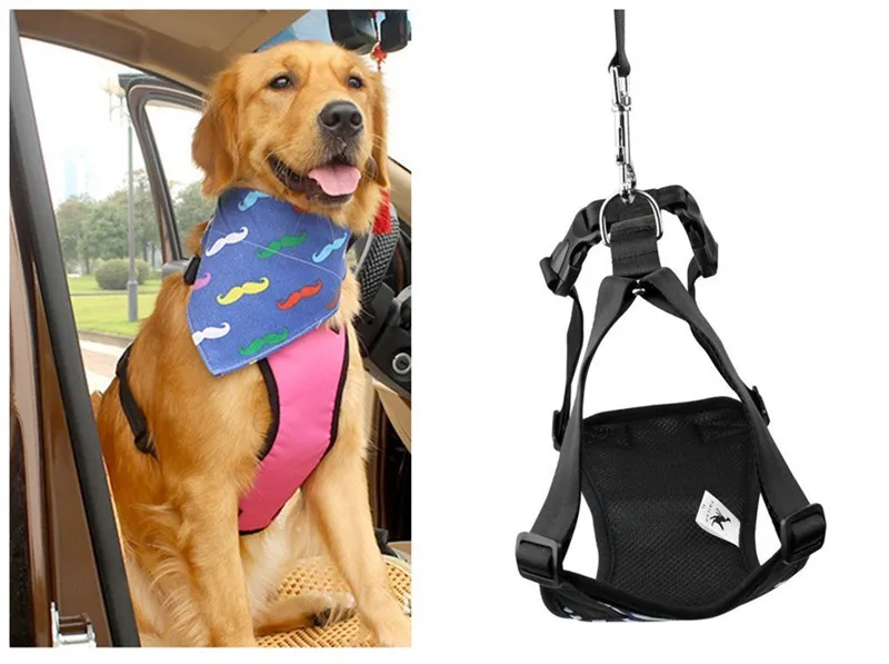 seat belts (5)