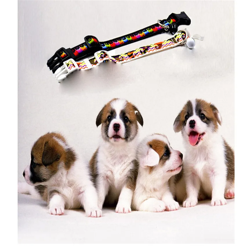 

Pets Acessorios Factory Price Halloween Pet Dog Cat fashion useful comfortable Nylon Harness Traction Rope Walking Lead Leash