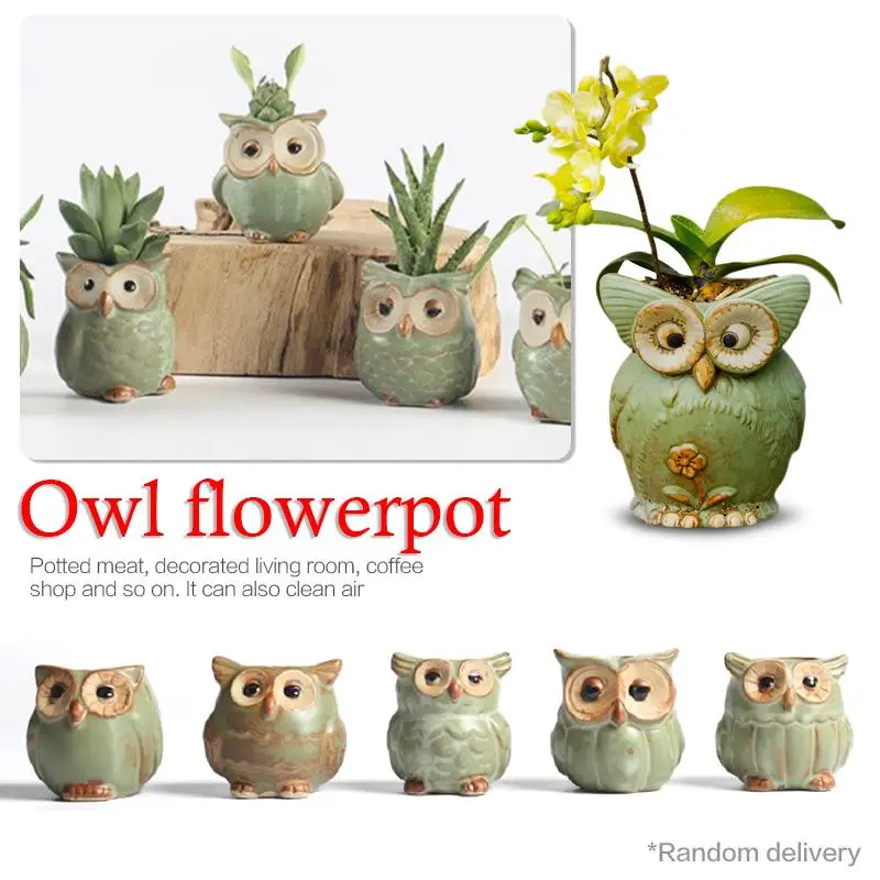 

Cartoon Owl Shaped Succulent Plant Ceramic Flowerpot Home Decoration Random Styles Delivery Potted Plants