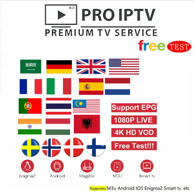 

Iptv Espa a Spain Dutch Turkey Portugal Italia brazil Subscription Iptv M3u Youporn Vod For X96 H96 G1 G3 Mag Htv Android Tv box
