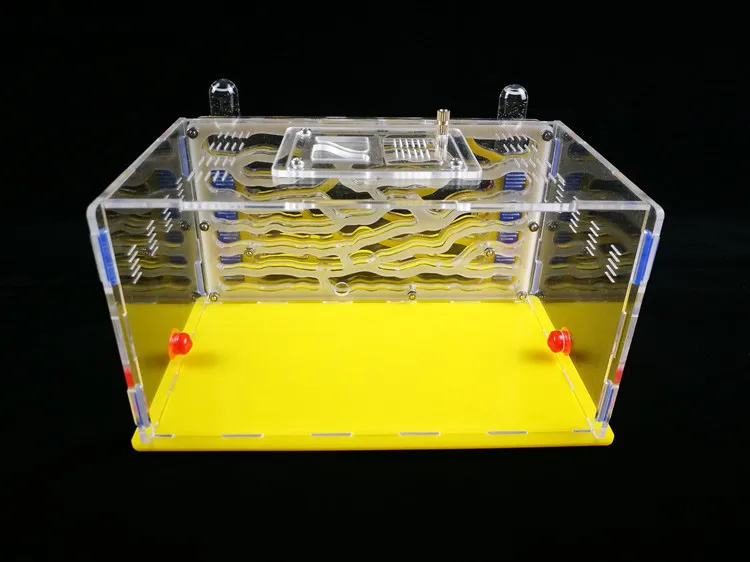ant-nest-city-D1 (4)