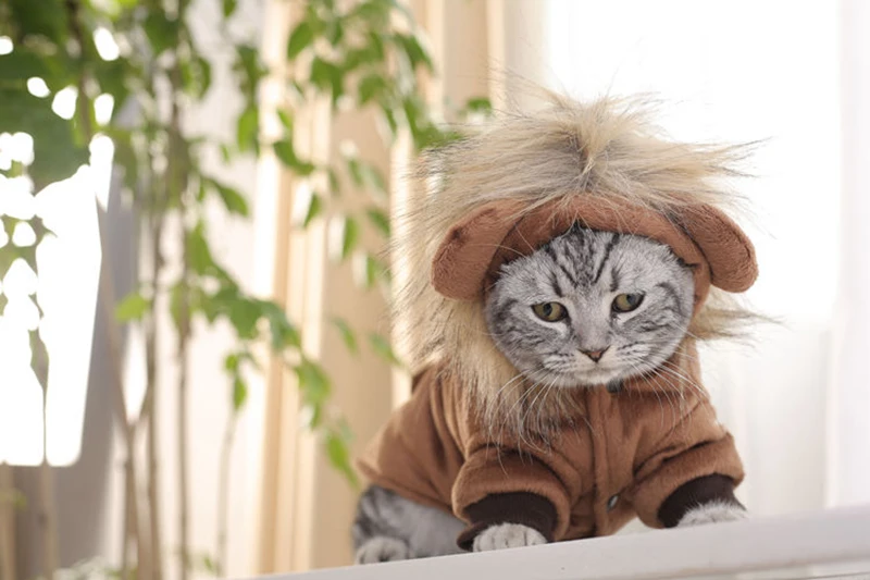 Забавный кот костюм эмуляция Лев волосы пальто кота зимняя одежда, костюм для Хэллоуина Щенок Костюм одевания праздничная одежда для кошек
